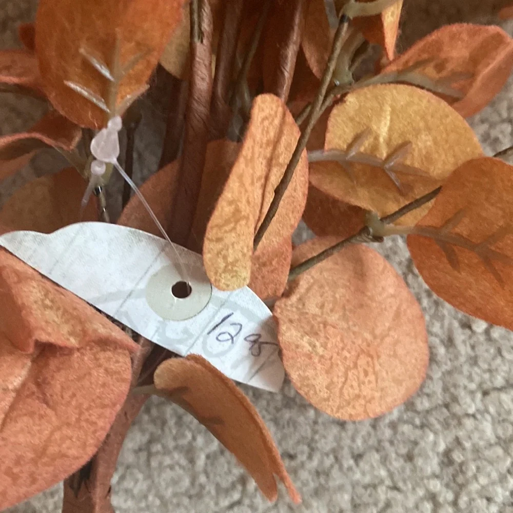 Ragoon House Orange Eucalyptus
